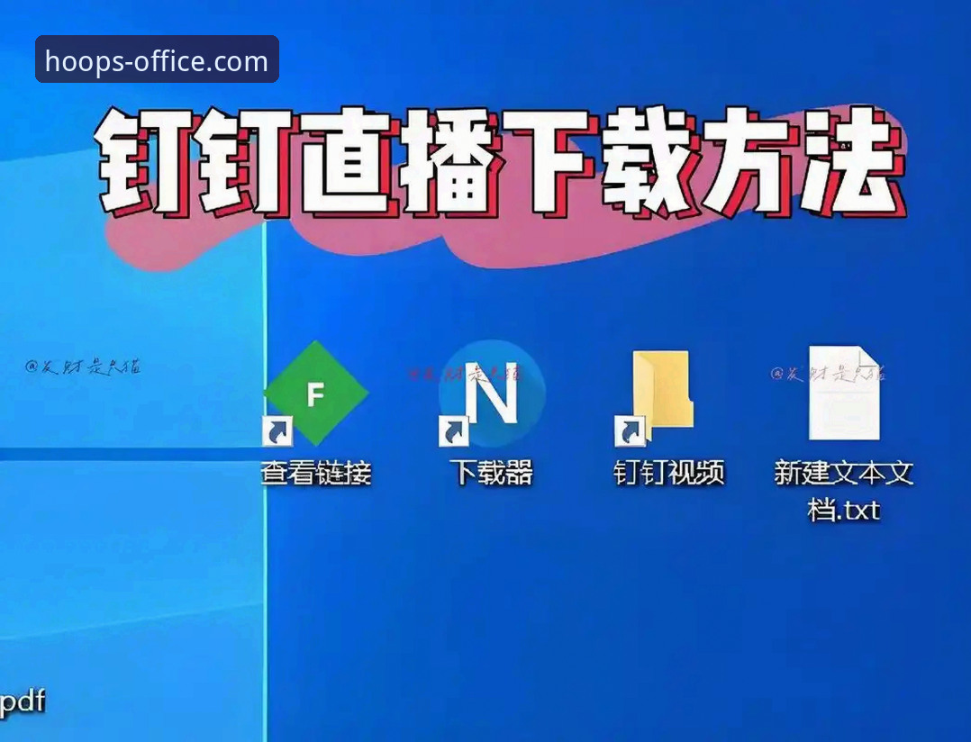 7个九幺免费版使用教程技巧：从下载到流畅看直播的完整指南